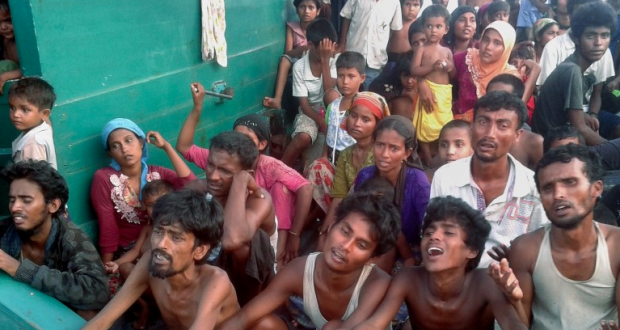 Syrian Rebels to Rohingya: Invitation for 500 Families Trapped at Sea